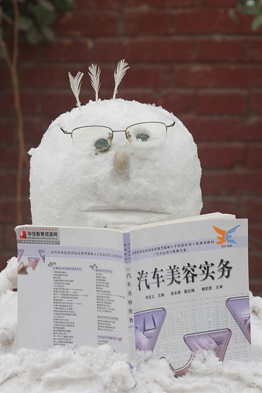 ��������ѩ Ԥ��������4���˺���